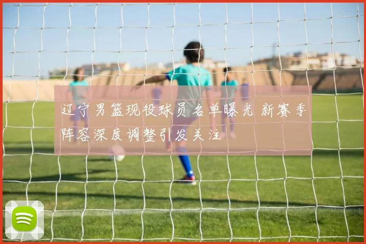 辽宁男篮现役球员名单曝光 新赛季阵容深度调整引发关注