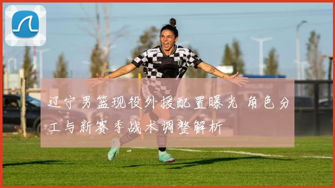 辽宁男篮现役外援配置曝光 角色分工与新赛季战术调整解析