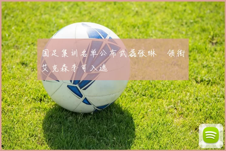 国足集训名单公布武磊张琳芃领衔艾克森李可入选