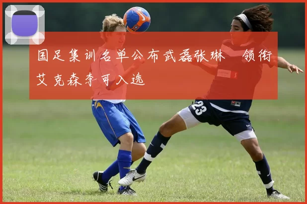 国足集训名单公布武磊张琳芃领衔艾克森李可入选